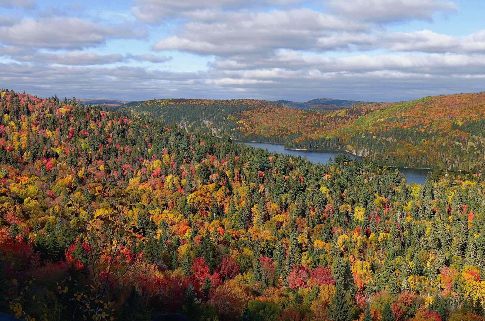 Mauricie Belvédère de l'ÎLE AUX PINS