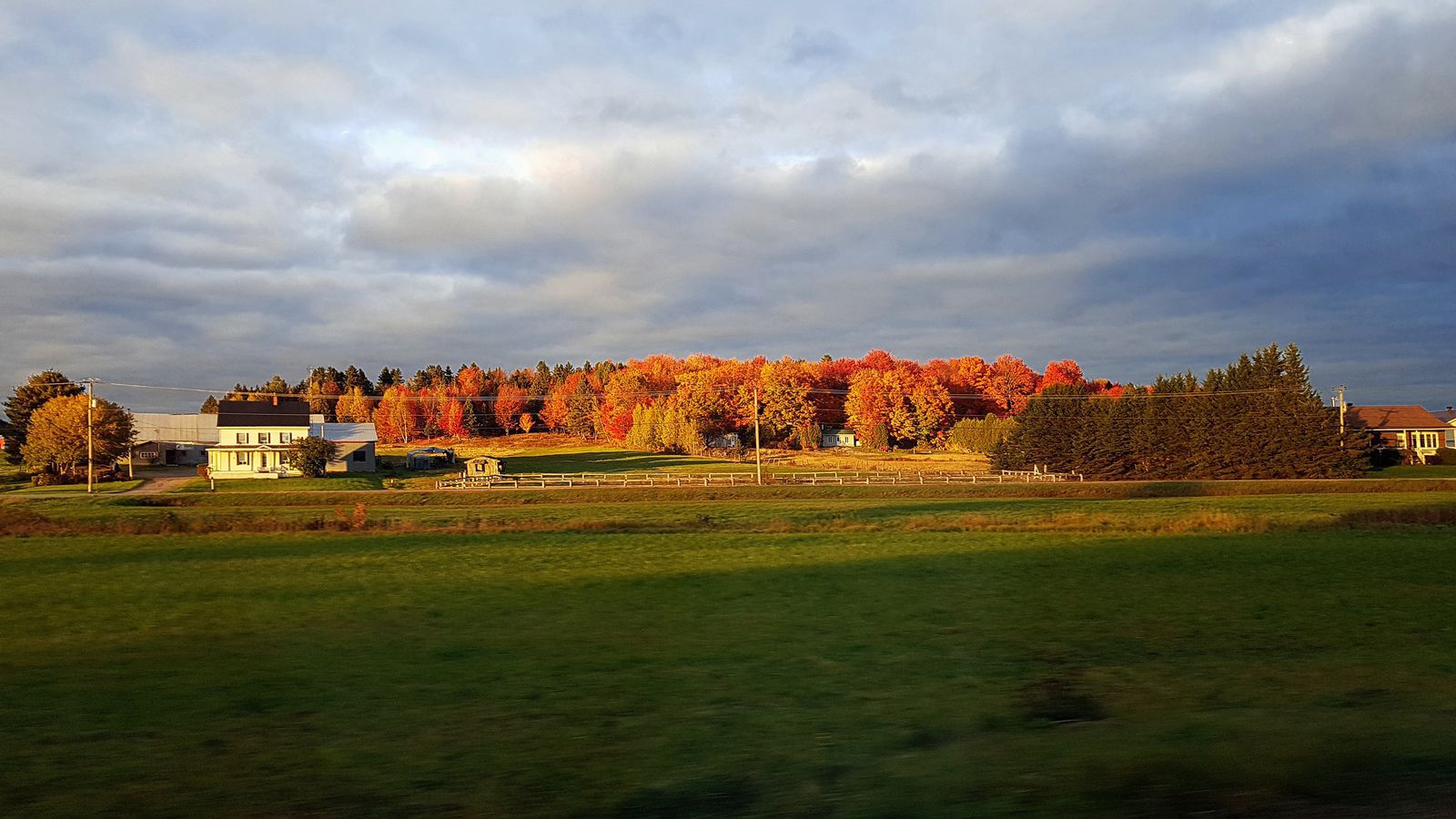 Mauricie