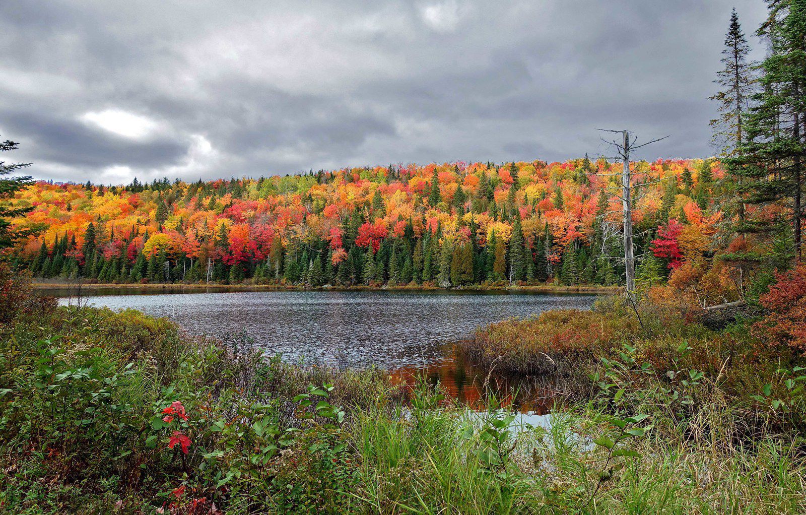 Mauricie