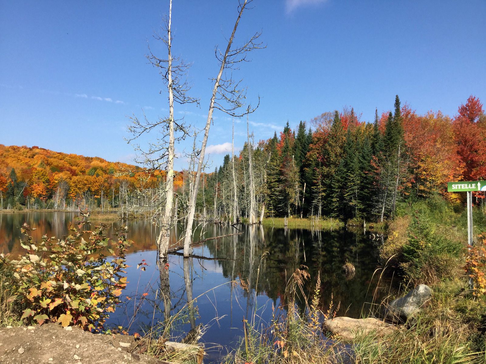 Mauricie lac