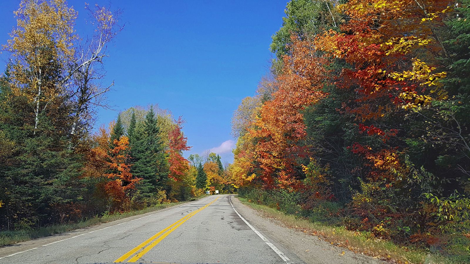 Mauricie