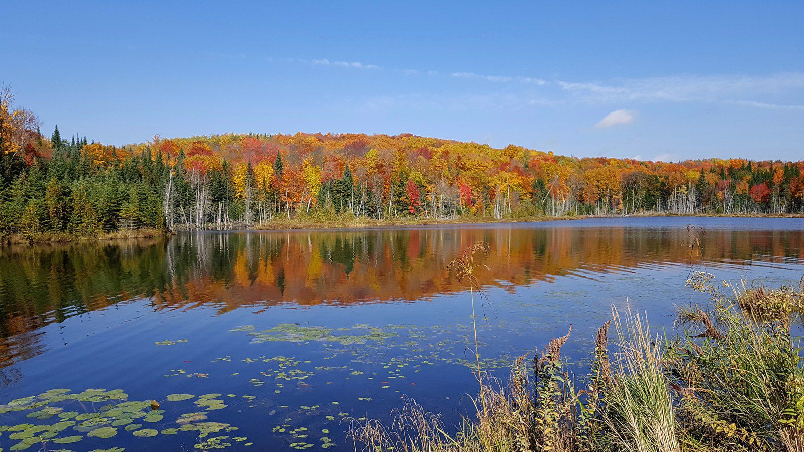 Mauricie lac
