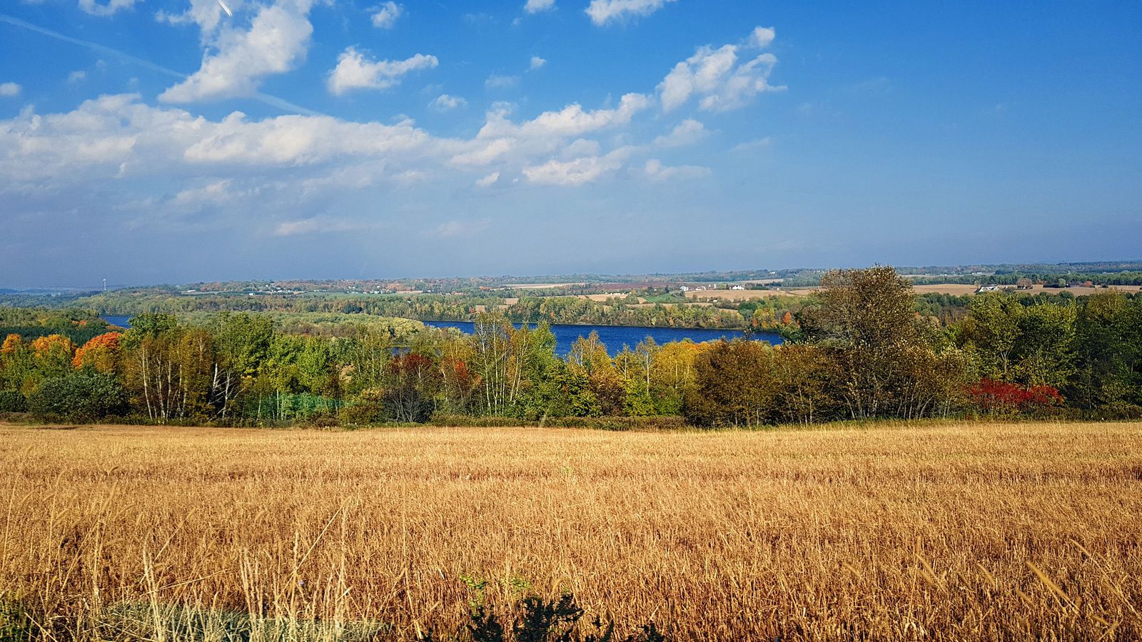 Mauricie rivière St Maurice