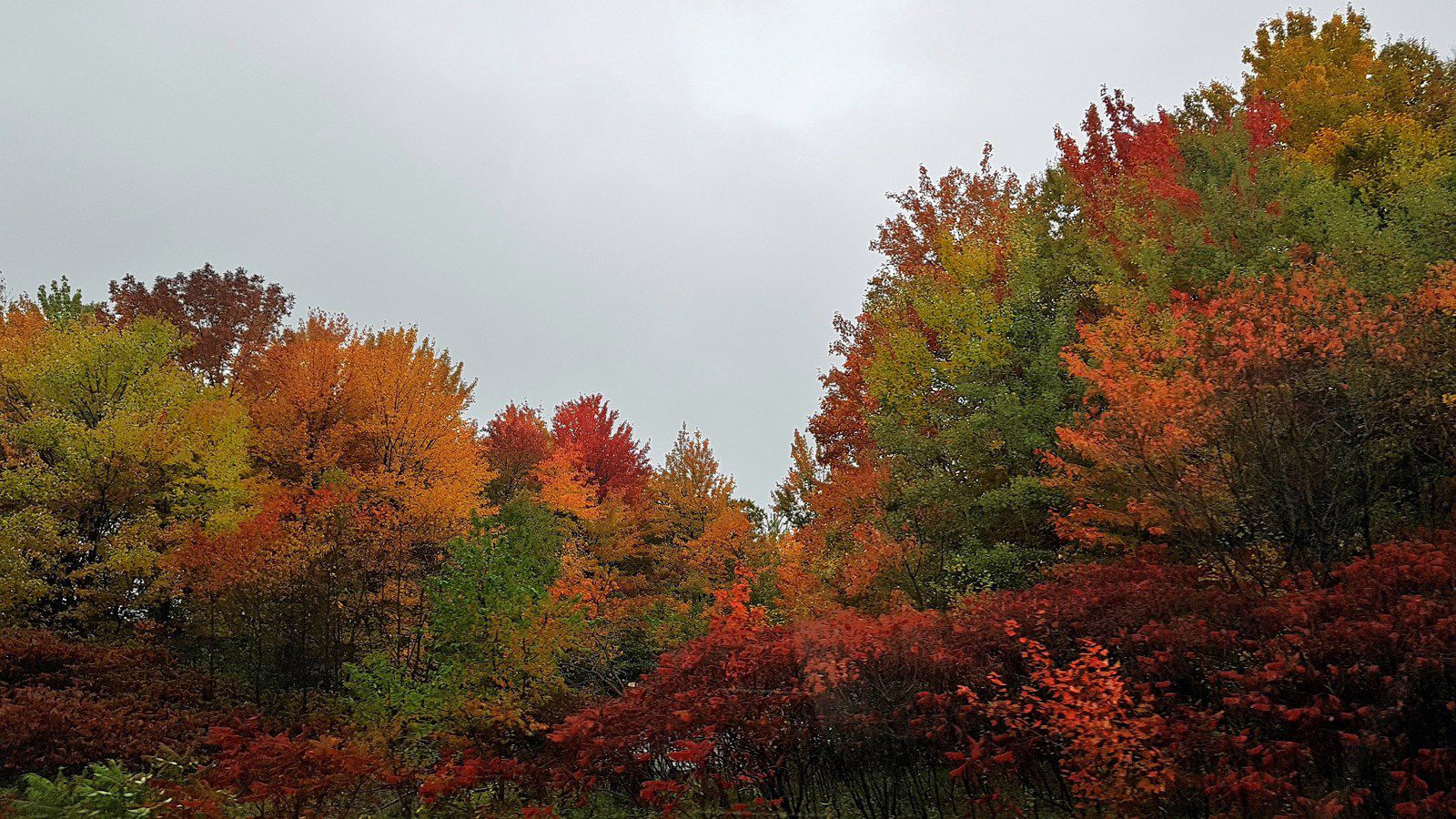 Québec en automne