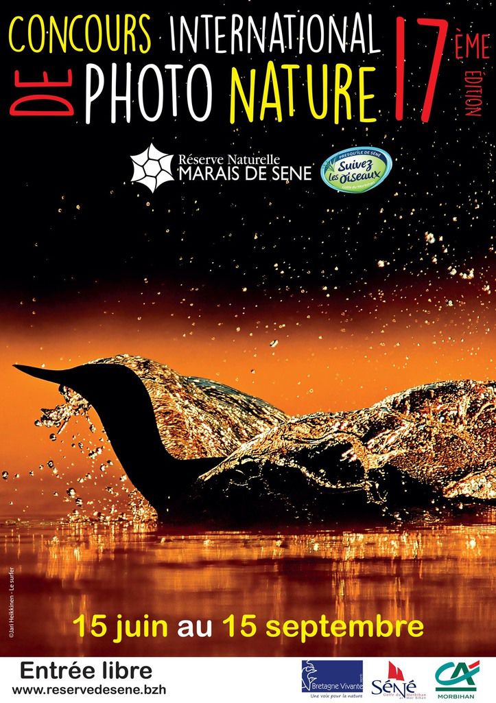 17e concours international de photo nature de la réserve naturelle des Marais de Séné : des hippopotames primés