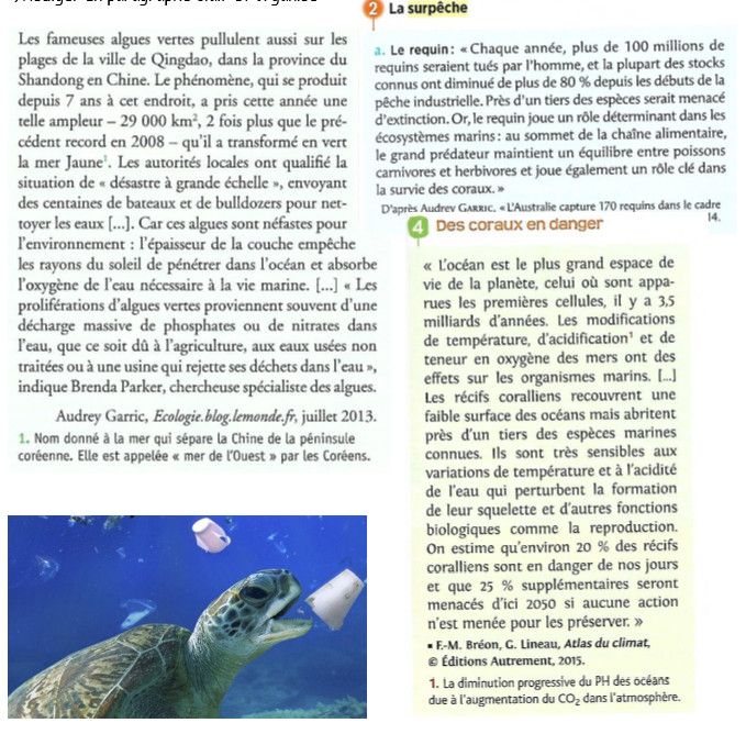 What is the role of philanthropy in our society picture