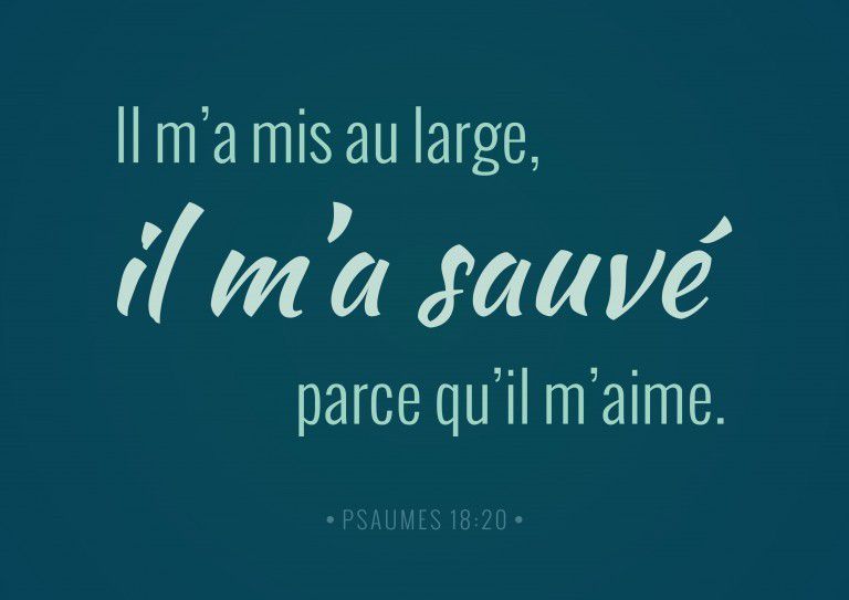 Le Seiugneur m'a mis au large, il m'a sauvé, parce qu'il m'aime. (http://www.christestmavie.fr/versets-illustres/)