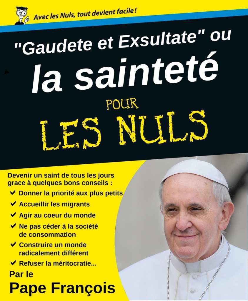 L'appel à la sainteté dans le monde actuel (Gaudete et exsultate) pour les nuls (François)