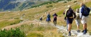 Chemin de sainteté à la suite du Christ Jésus