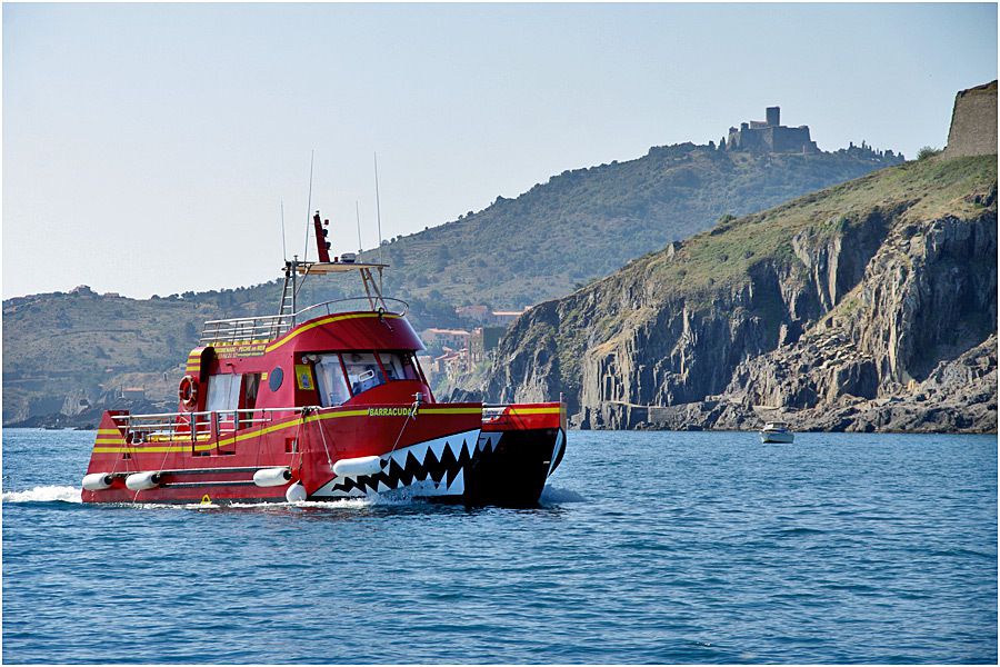 d'Argelès à Collioure d'Argelès à Collioure