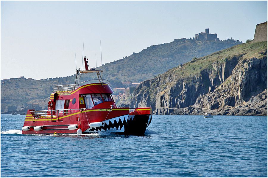 d'Argelès à Collioure