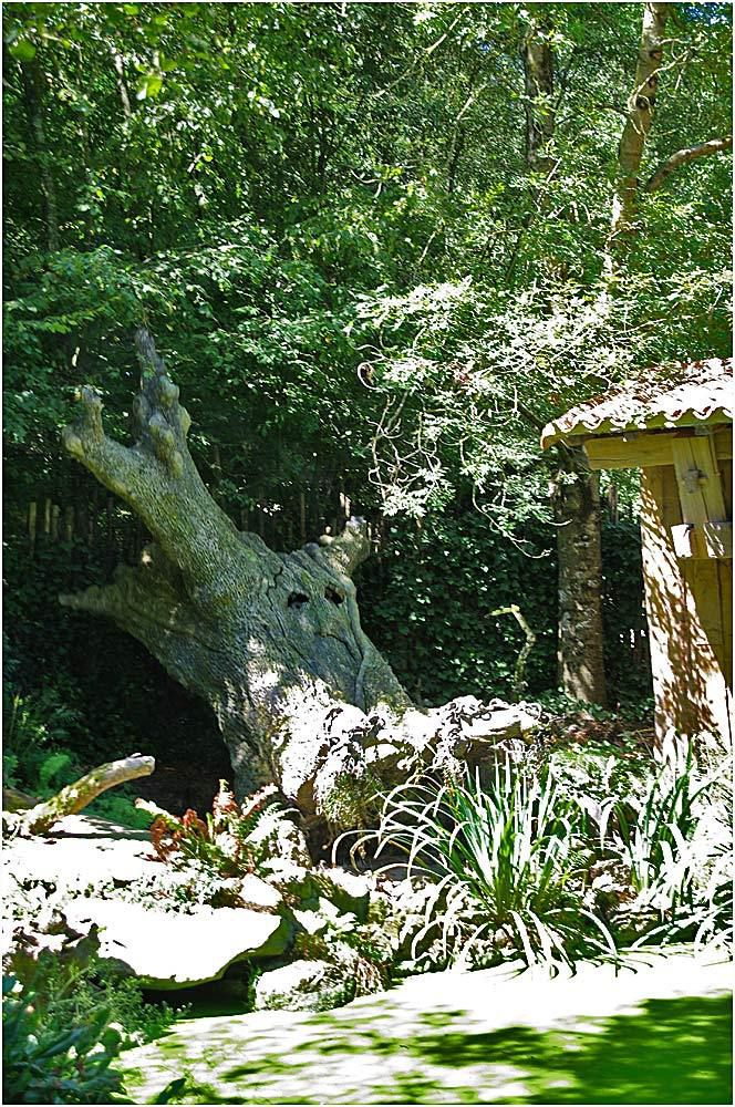 le puy du fou 2013 - le Monde imaginaire de La Fontaine - le chêne et le roseau