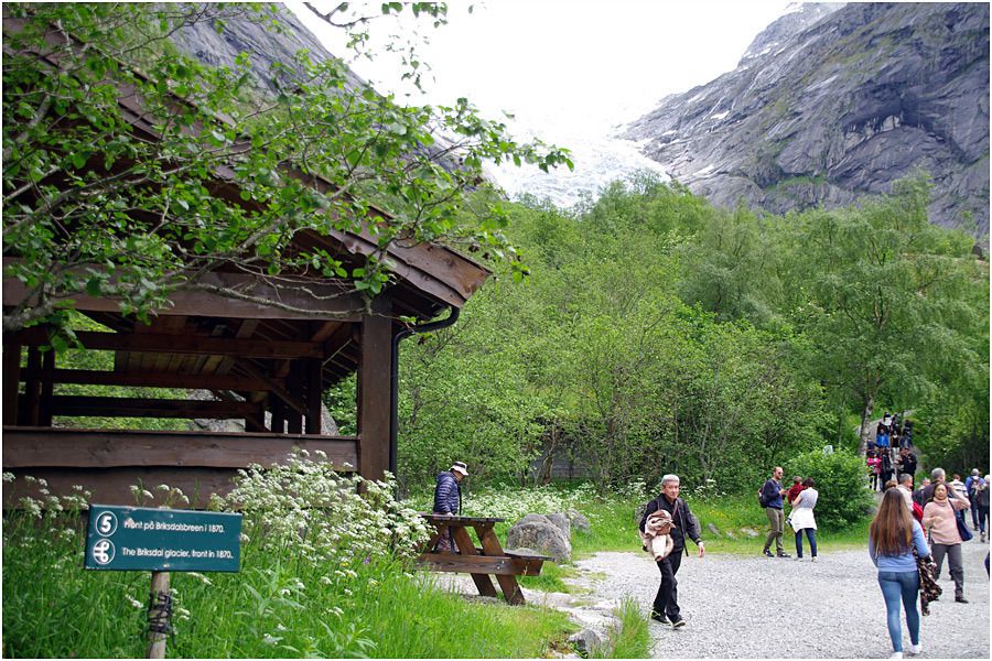 Costa Magica - Olden - randonnée vers le glacier de Briksdal