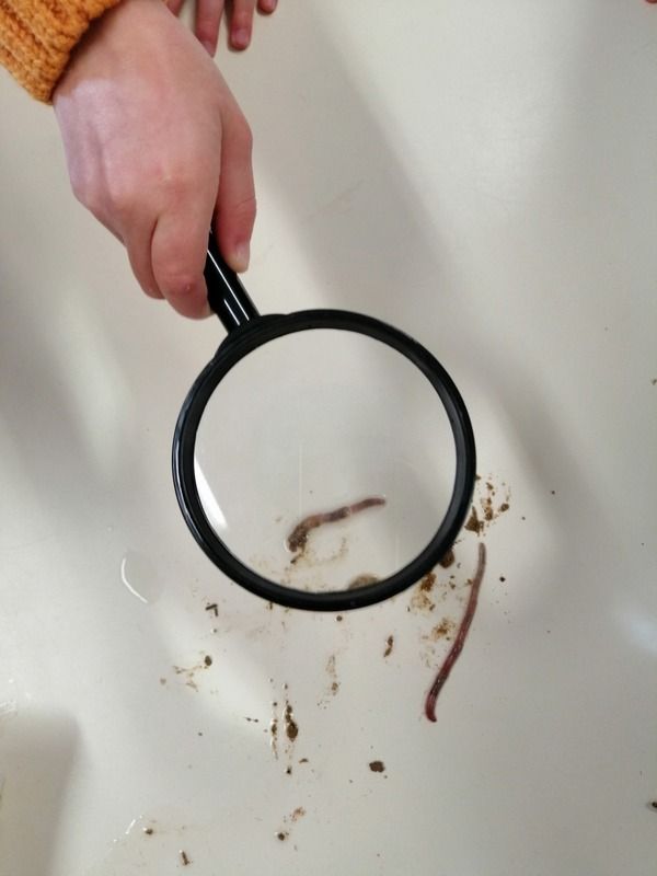 photos Maîtresse Justine MEGER