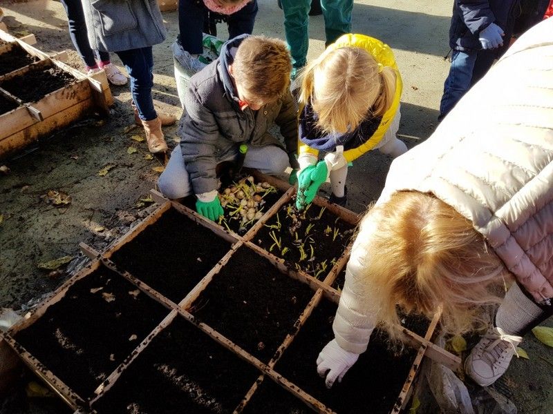 Jardinage - photos Isa