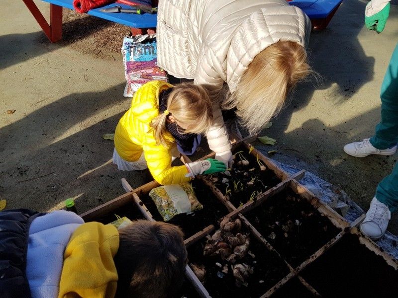 Jardinage - photos Isa