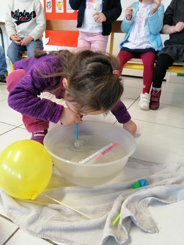 Album 19/20_janv_PS/MS_Cahier de vie