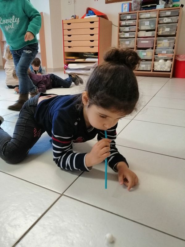 Album 19/20_janv_PS/MS_Cahier de vie