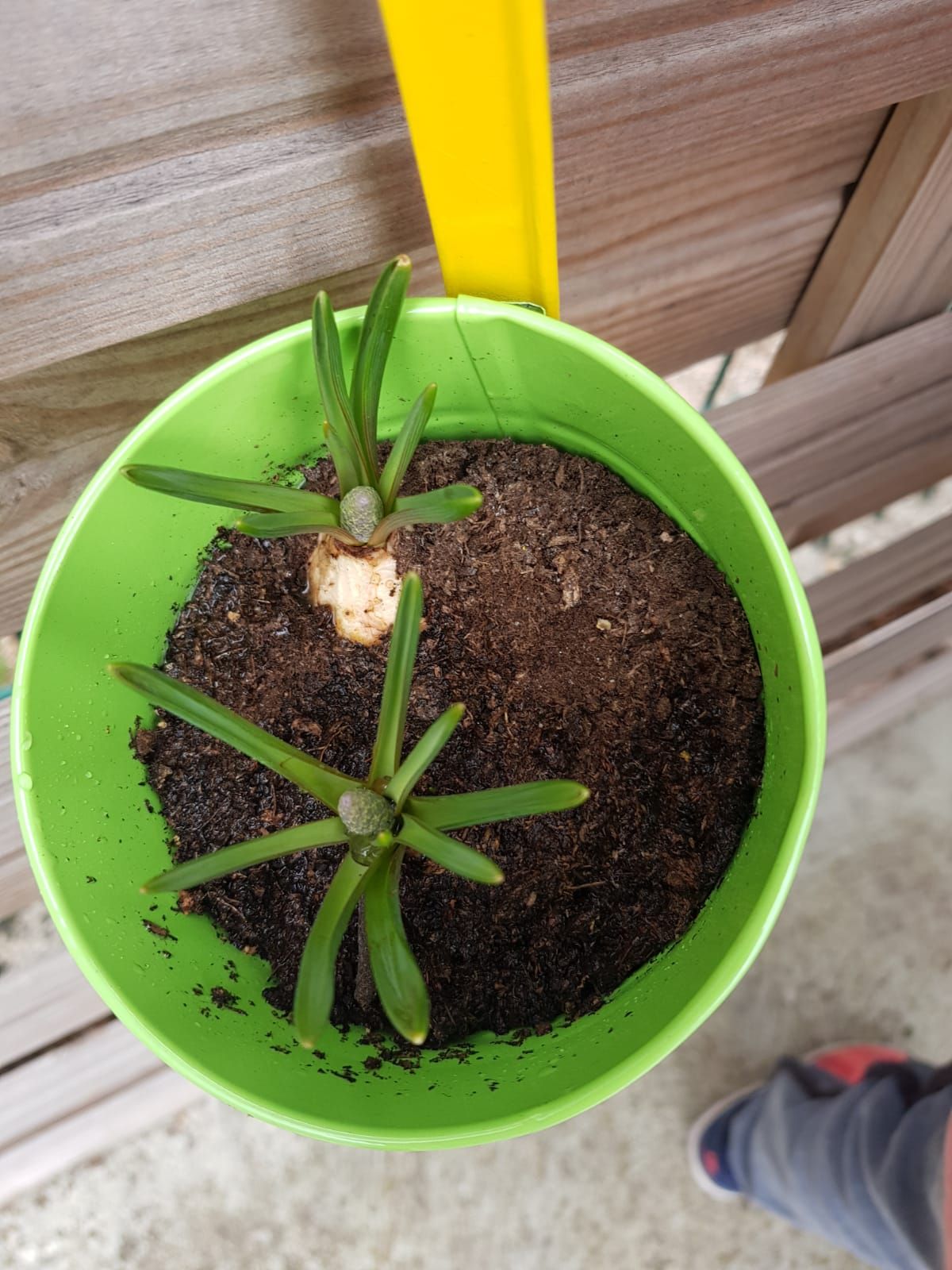 photos Agnès, Alicia, Emilie, Sabrina, Christelle 