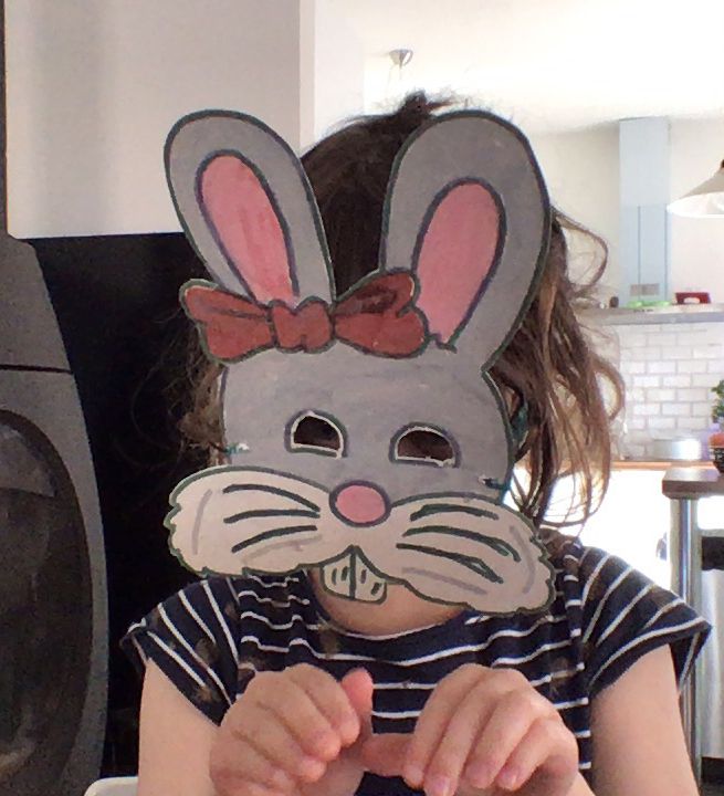 Album 19/20_mars_Un carnaval pas comme les autres