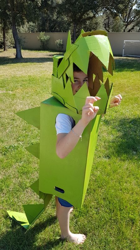 Album 19/20_mars_Un carnaval pas comme les autres