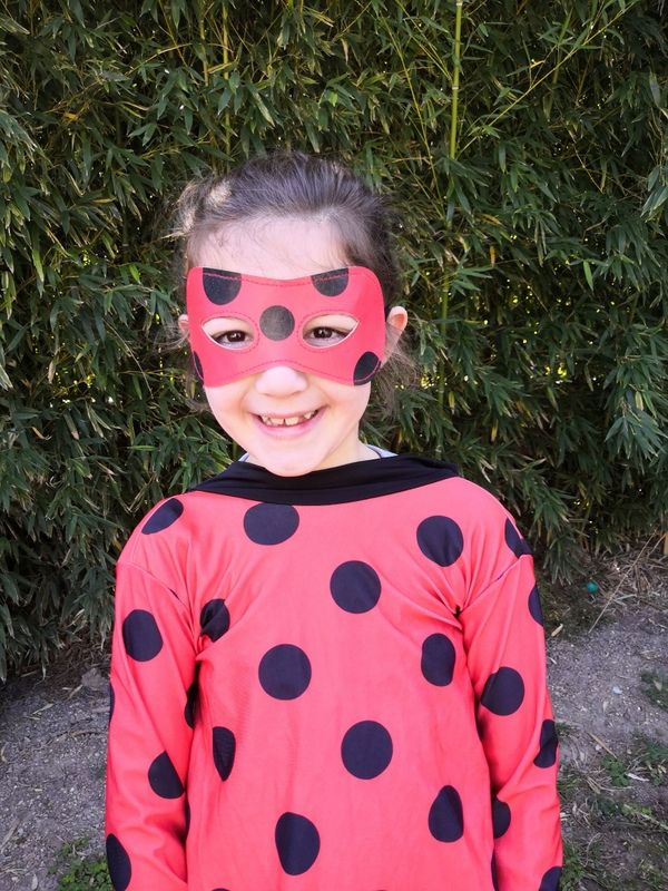 Album 19/20_mars_Un carnaval pas comme les autres