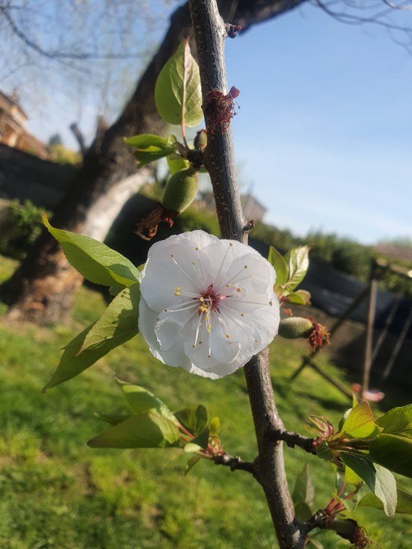 230320_photos des mamans