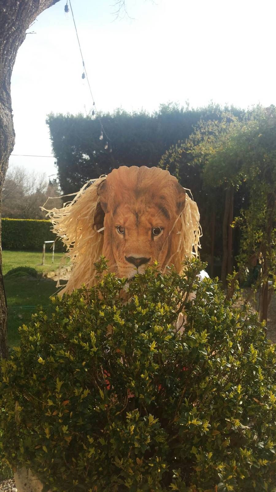 25/03/20_photos des mamans et des maîtresses !