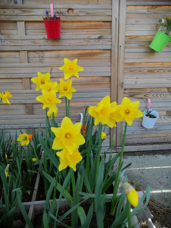 photos Maîtresse Justine MEGER