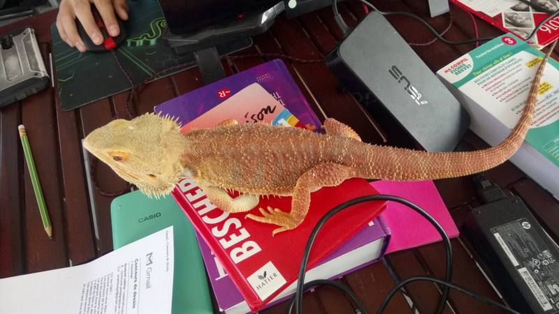 01/04/20_photos des mamans