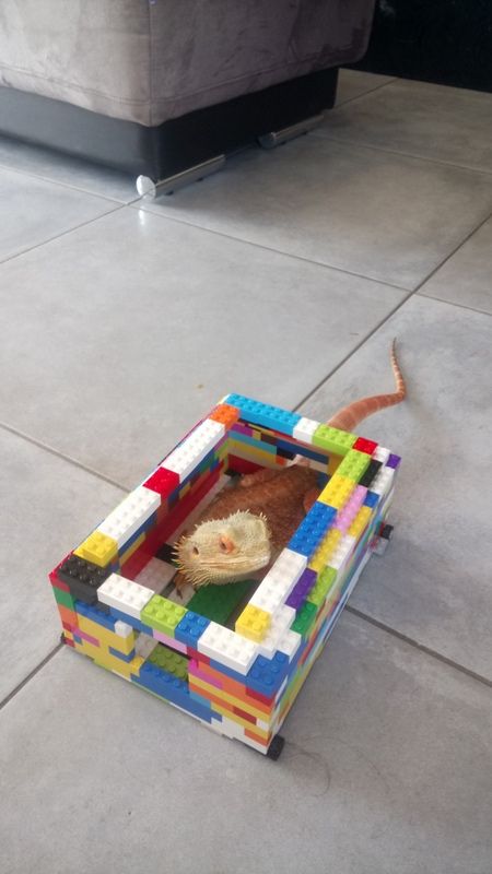 10/04/20_photos des Mamans et des Maîtresses