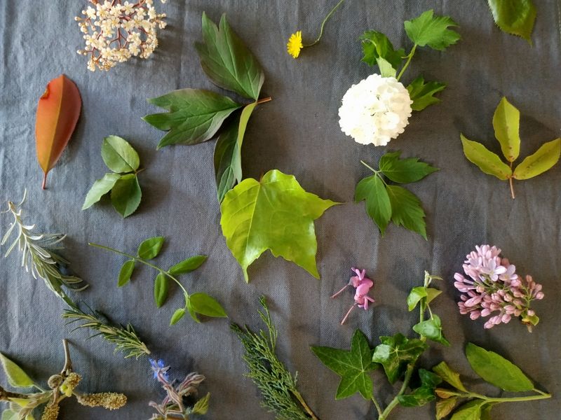 20/04/20_photos des Mamans