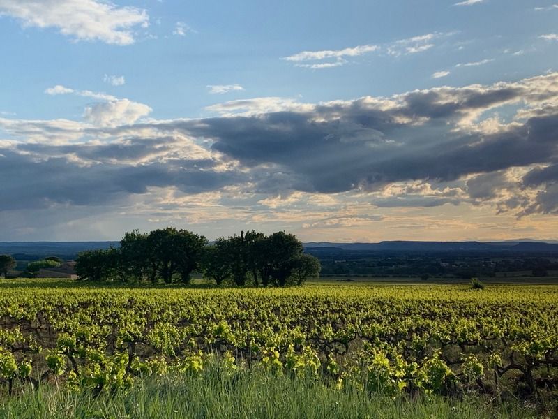 30/04/20_photos des mamans