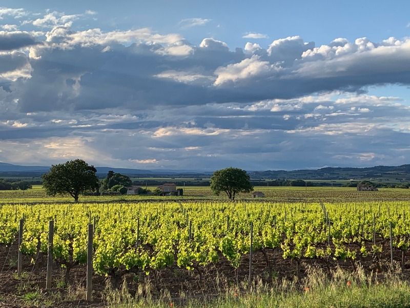 30/04/20_photos des mamans