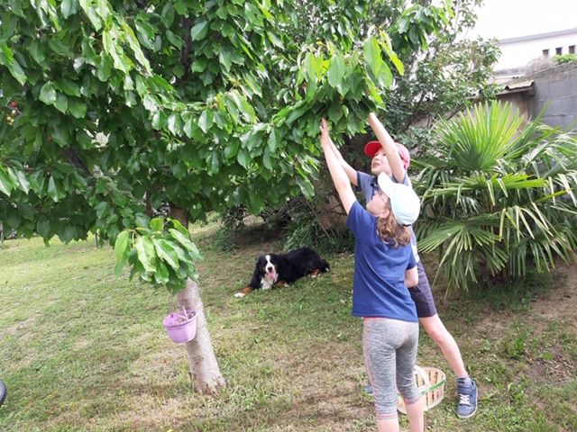 06/05/20_photos des mamans