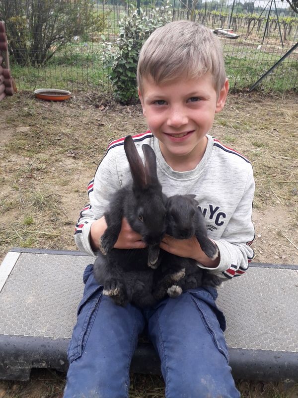 06/05/20_photos des mamans