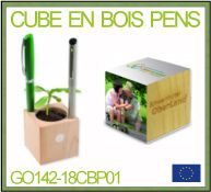 Cube de plantation floral et pot à crayon en bois avec graines et personnalisation