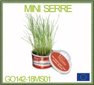 Mini serre Pot en plastiue avec graines et personnalisation