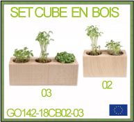 set de plantation floral en érable avec 2 ou 3 pots plus graines et personnalisation