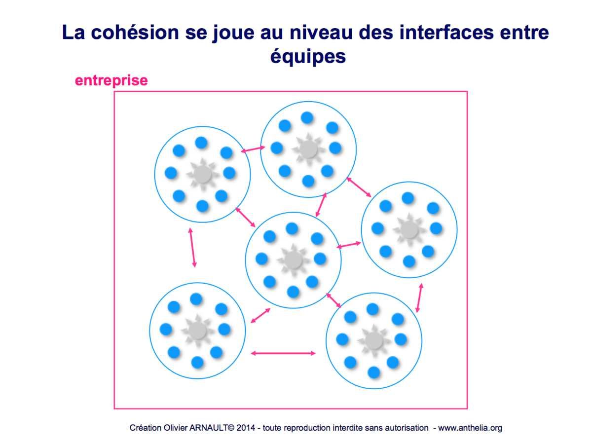 COHESION A TOUS LES NIVEAUX