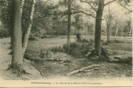 Forêt du Marais-Brebis en 1950