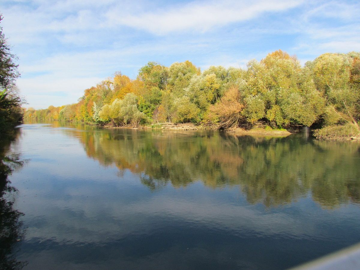 Les dix ans de la Réserve Naturelle Régionale des îles de Chelles ...