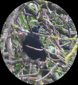 24 heures photo (65)