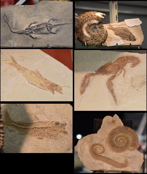 Féerie minérale volet 3 et fin