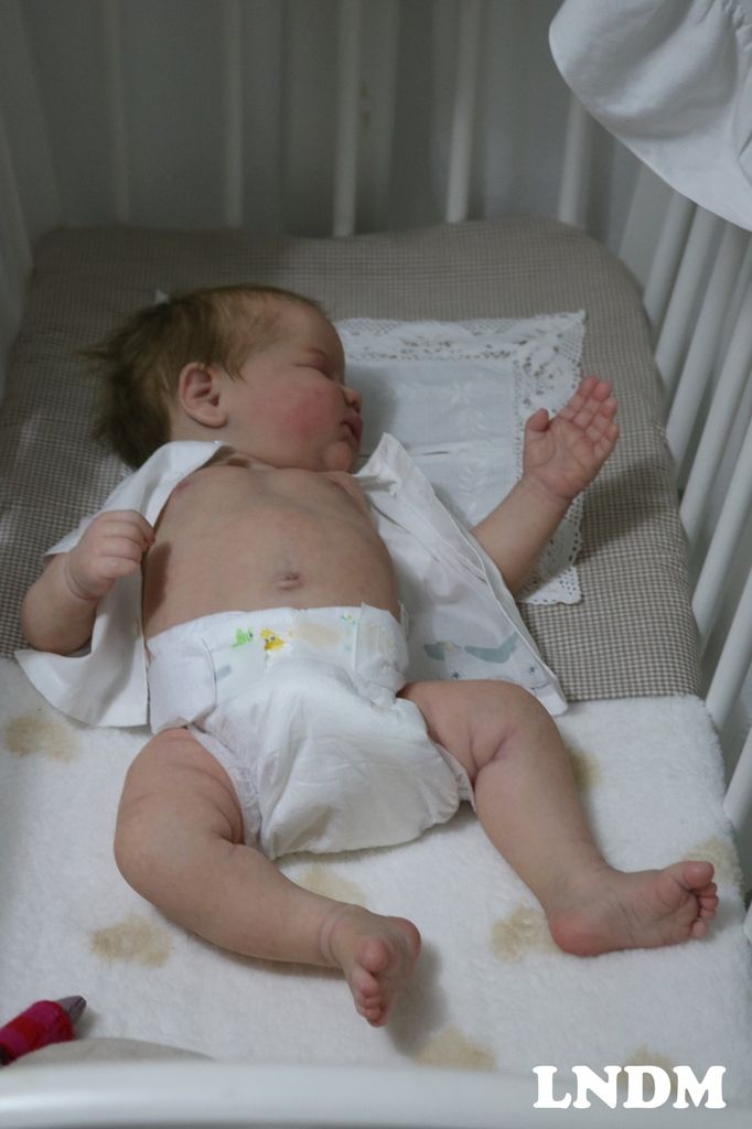 lndm reborn dolls