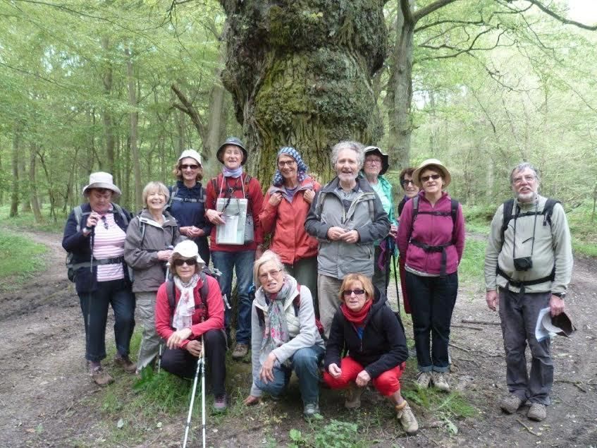 RANDONNÉE LA VERRIERE par L’ETANG DES NOËS et la FORET DOMANIALE DE