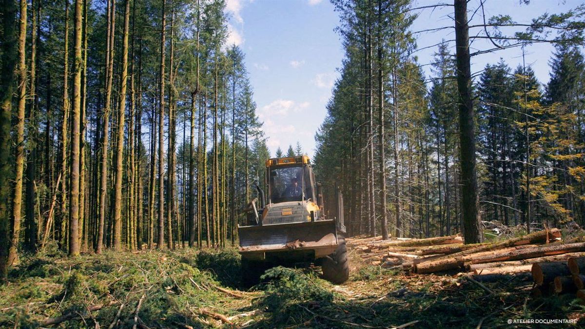 Le_temps_des_forêts_1