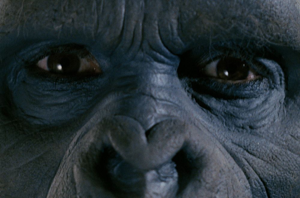 Schlock_John_Landis