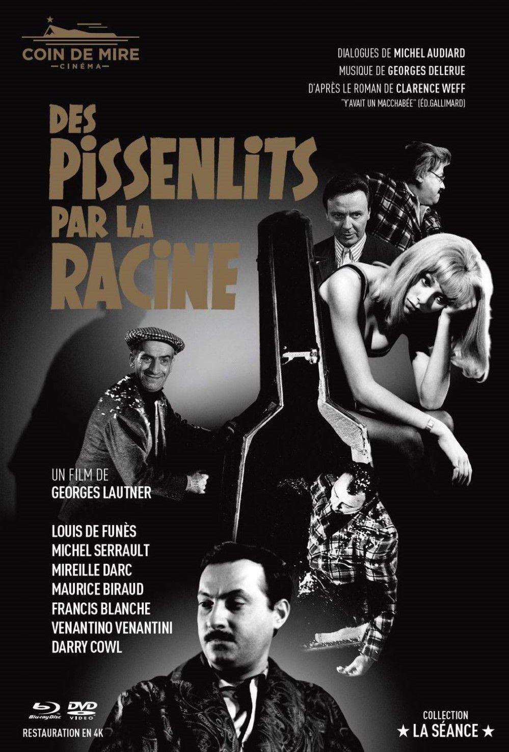 Des_pissenlits_par_la_racine
