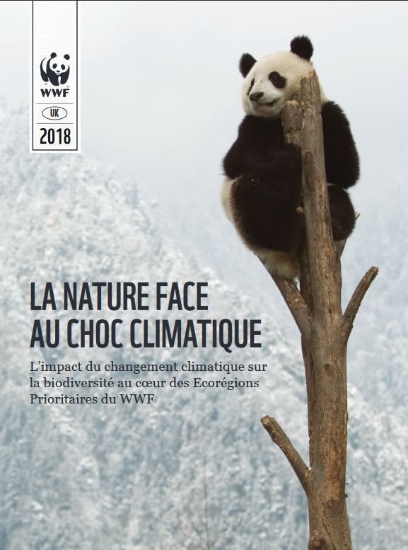 La Nature Face Au Choc Climatique La Moitie Des Especes Des Regions Les Plus Riches En Biodiversite Menacees D Extinctions Les Lilas Ecologie Blog Des Militants Et Elus